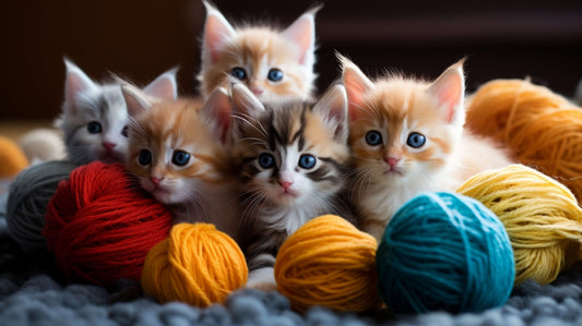 "Kitten Caboodle" Stock Fine Art Print